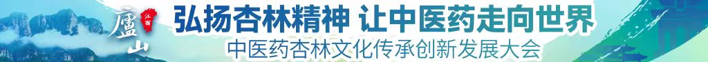 粉逼网站中医药杏林文化传承创新发展大会